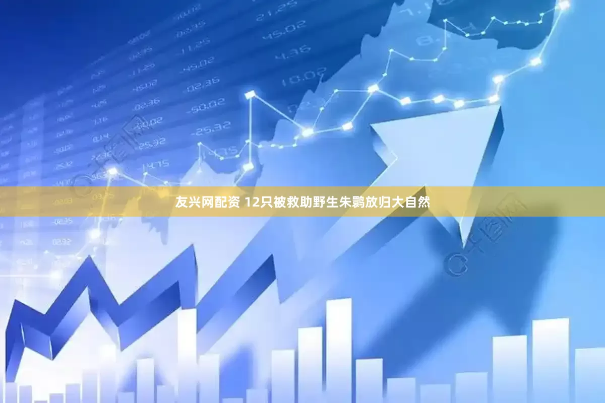 友兴网配资 12只被救助野生朱鹮放归大自然