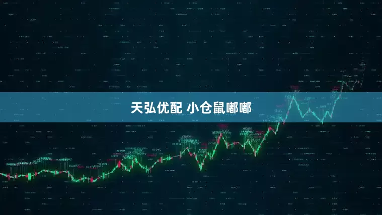 天弘优配 小仓鼠嘟嘟