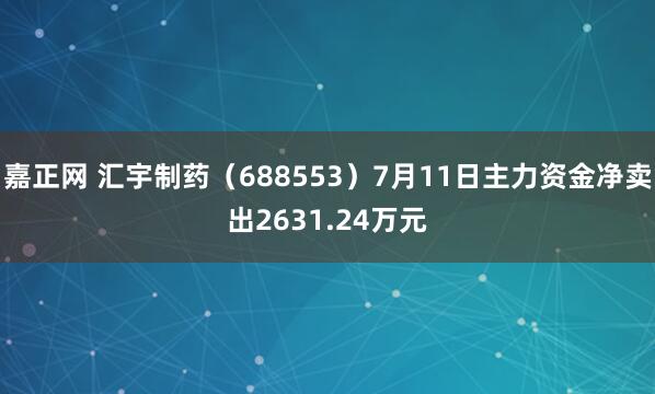 嘉正网 汇宇制药（688553）7月11日主力资金净卖出2631.24万元