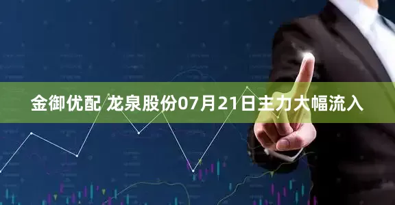金御优配 龙泉股份07月21日主力大幅流入