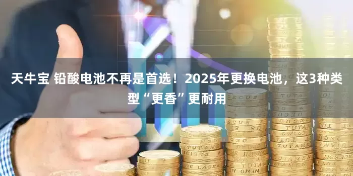 天牛宝 铅酸电池不再是首选!2025年更换电池,这3种类型“更香”更耐用