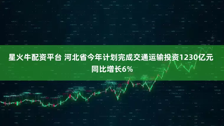 星火牛配资平台 河北省今年计划完成交通运输投资1230亿元 同比增长6%